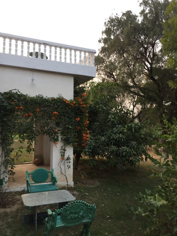 מלון ג'איפור Savista Retreat מראה חיצוני תמונה