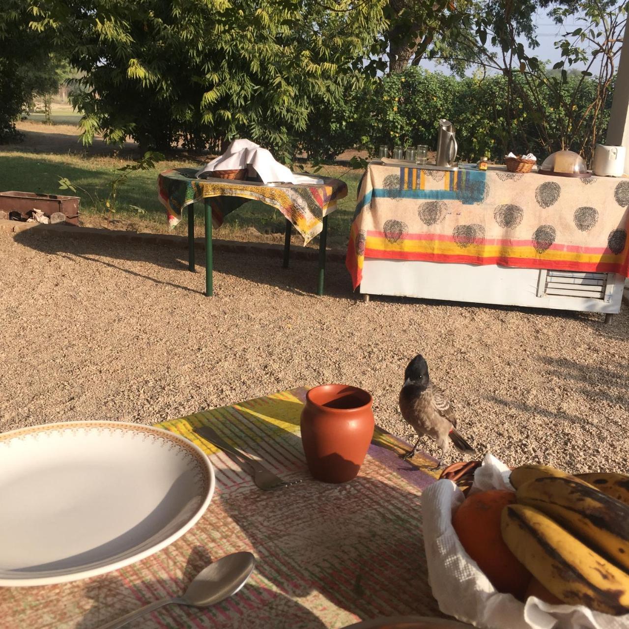 מלון ג'איפור Savista Retreat מראה חיצוני תמונה